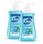 Dial Antibacterial Liquid Hand Soap Spring Water 7.5OZ Blue (pack Of 2) Pump. Fixed Price $18.00.