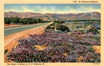 R-23 California Highway, Desert, U. S. 99, Western Publishing Postcard. Fixed Price $7.98.