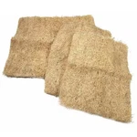 Champion Cooler Asrtd Sz Aspn Pads, WC37, RWC35, N37W, RN35W 310085-9. Fixed Price $24.14.
