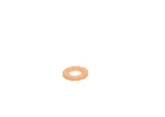 For Bosch 00R J02 175 Seal Ring. Fixed Price $11.02.
