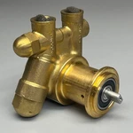 Procon Rotary Vane Pump Brass Valves 141A125F11AA 250 Psi 60170LL Sst 1046-2 Bts. Fixed Price $82.88.